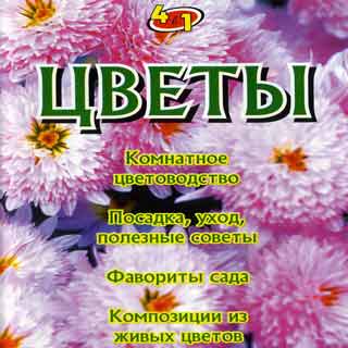 Цветы